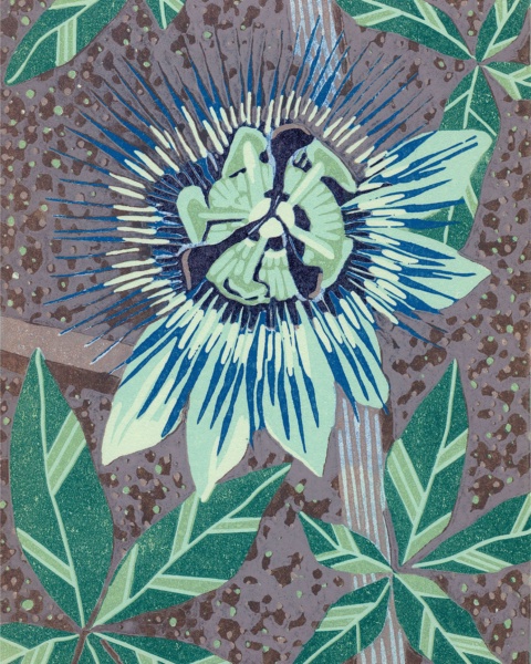 Passion Flower — relief print by Kate Goetz