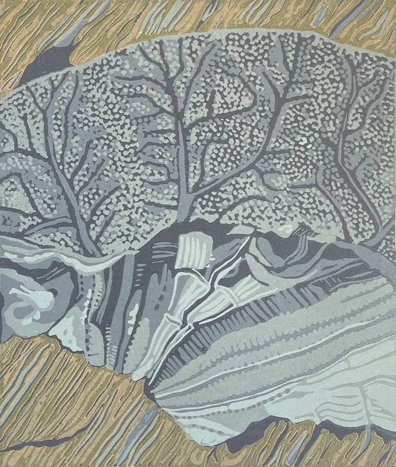 Sand Dollar — relief print by Kate Goetz