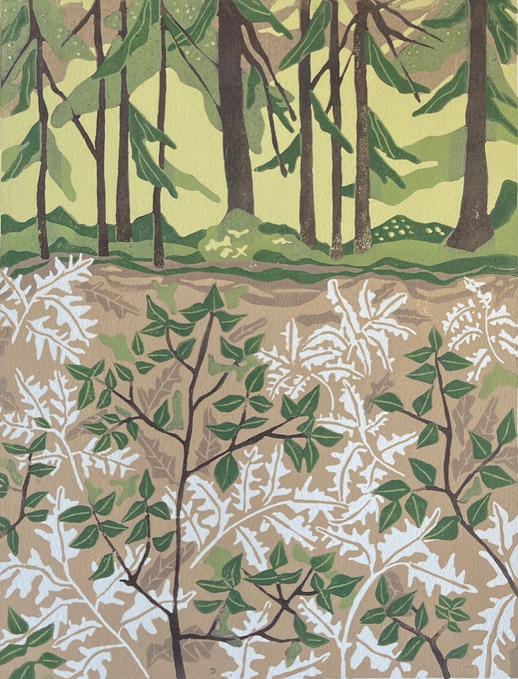 Where the White Ferns Grow — relief print by Kate Goetz